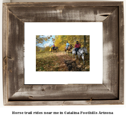 horse trail rides near me in Catalina Foothills, Arizona